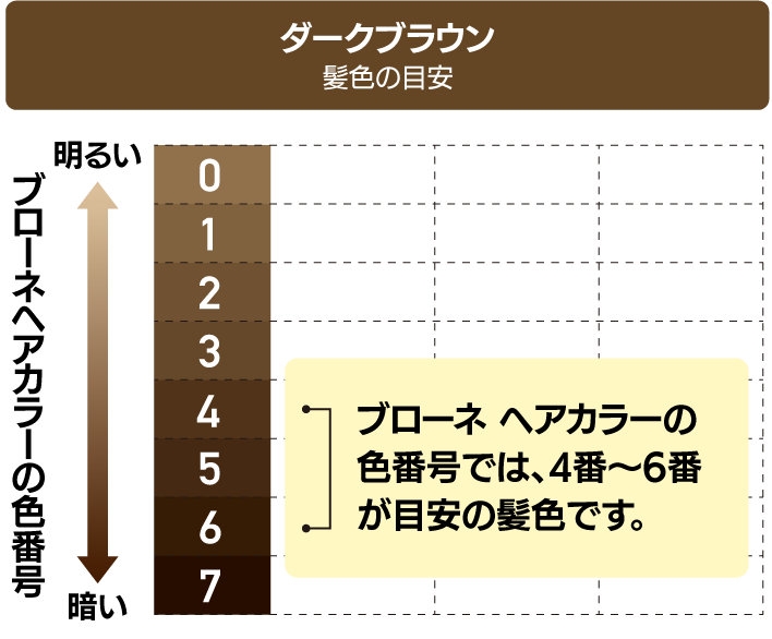 ダークブラウン使用イメージ 髪色の目安